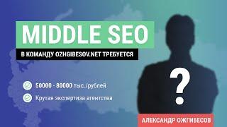 Вакансия SEO-специалист middle и выше (можно удаленно) в OZHGIBESOV.NET
