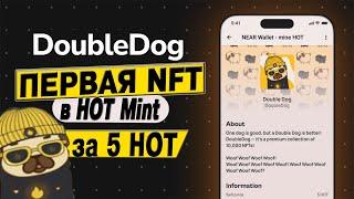 100$ ОТ NEAR WALLET ЗА NFT // Double Dog NFT первая коллекция в HOT mint