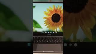 ???? Установили Windows на MacBook? | Обзор Xiaomi Mi Notebook Pro X