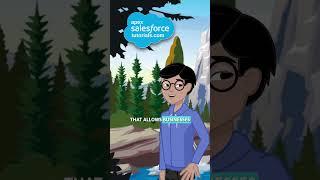 Why don’t Salesforce developers like to play hide and seek? #salesforce #salesforceapex #trailhead