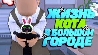 ЧЁРНЫЙ КОТ КРЫШУЕТ ГОРОД ???? в Little Kitty Big City