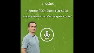 Черное SEO (Black Hat SEO) – запрещенные способы раскрутки сайта | Урок #265