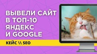 Продвижение сайта в топ Яндексе и Google | Оптовый поставщик товаров для животных