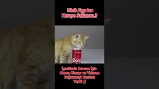 MİNİK VE DEĞERLİ EŞYALAR NEREYE SAKLANIR.? - #shorts