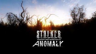 S.T.A.L.K.E.R.R. Anomaly REDUX | Stream №3