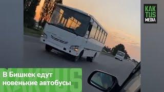 Новые автобусы едут в Бишкек