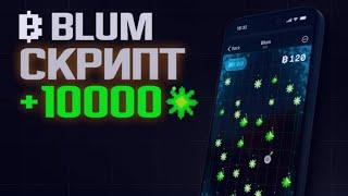 1000 аккаунтов BLUM | атоматизация проекта 14 криптовалюта