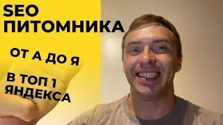 Бесплатное SEO продвижение сайта питомника. Сео продвижение в ТОП 1 самостоятельно