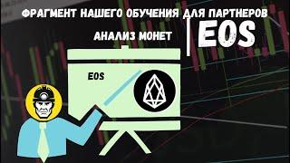 АНАЛИЗ МОНЕТ|  Разбор рынка криптовалют от команды Cryptomine | EOS