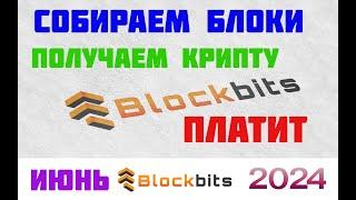 BlockBits-собираем блоки,получаем крипту!Платит!!!